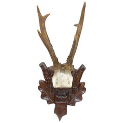 Antique Black Forest Deer Antler Trophy on Wood Carved Plaque, Austria, 1890s