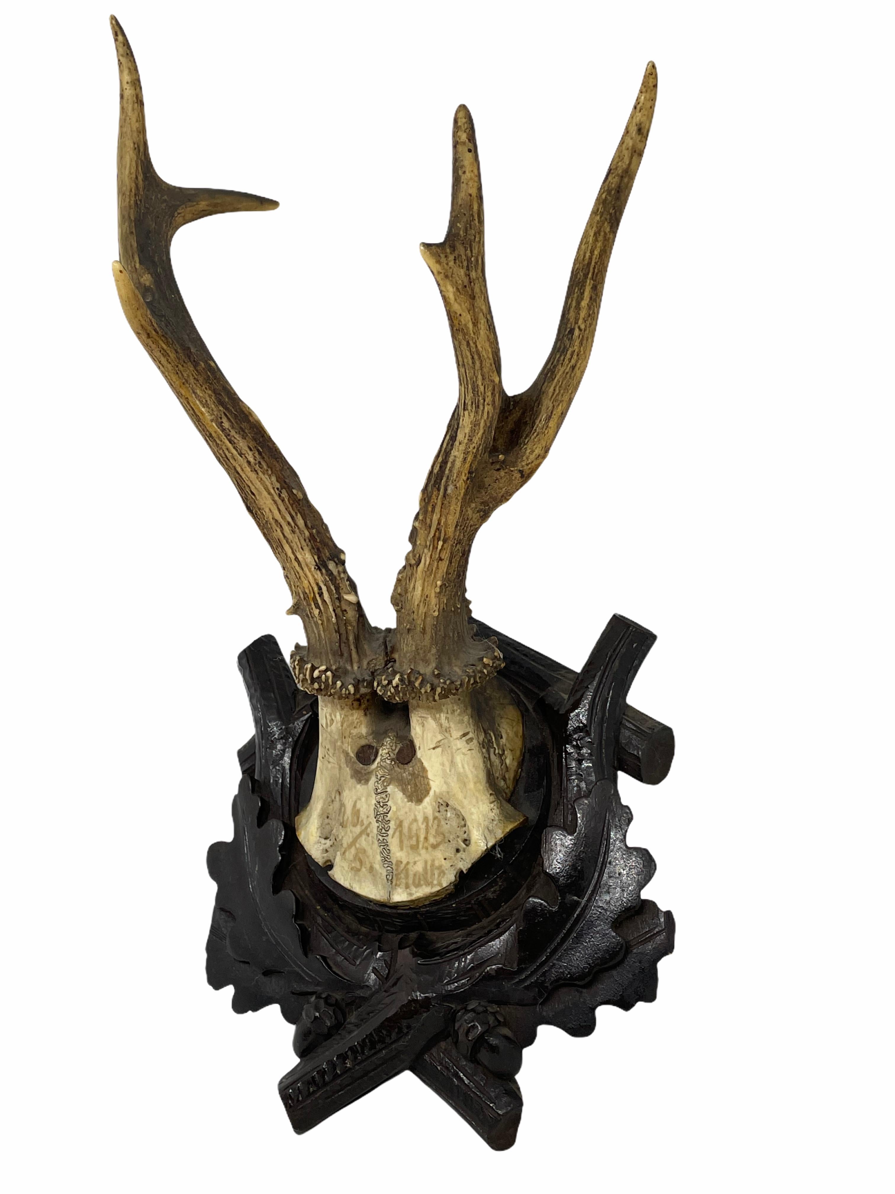 Antique Black Forest Deer Antler Trophy on Wood Carved Plaque, Austria, 1923 In Good Condition In Nuernberg, DE