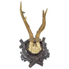 Antique Black Forest Deer Antler Trophy on Wood Carved Plaque, Austria, 1923