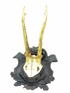 Antique Black Forest Deer Antler Trophy on Wood Carved Plaque, German, 1885