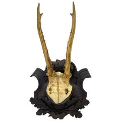 Antique Black Forest Deer Antler Trophy on Wood Carved Plaque, German, 1885