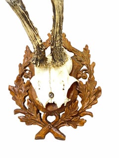 Antique Black Forest Deer Antler Trophy on Wood Carved Plaque, German, 1889