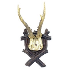 Antique Black Forest Deer Antler Trophy on Wood Carved Plaque, German, 1900s Antique Black Forest Deer Antler Trophy on Wood Carved Plaque, German, 1900s