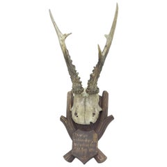 Antique Black Forest Deer Antler Trophy on Wood Carved Plaque, German, 1900s Antique Black Forest Deer Antler Trophy on Wood Carved Plaque, German, 1900s
