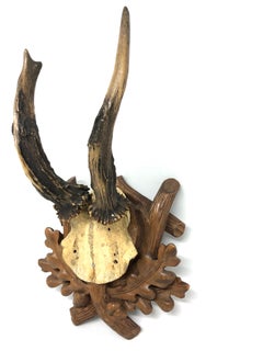 Antique Black Forest Deer Antler Trophy on Wood Carved Plaque, German, 1910s