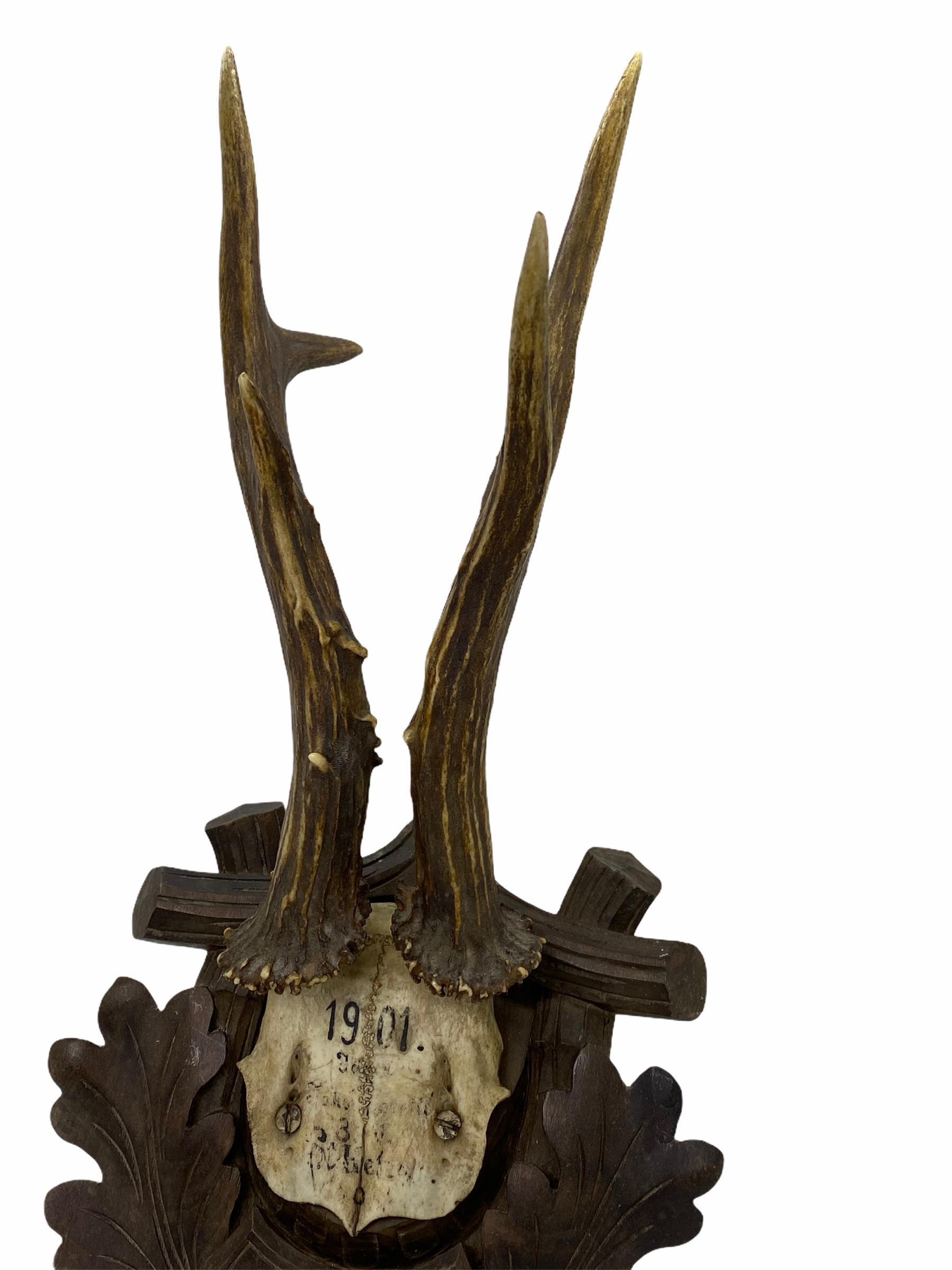 A beautiful antique Black Forest deer antler trophy on hand carved, Black Forest wooden plaque. It measures approximate 15 1/2