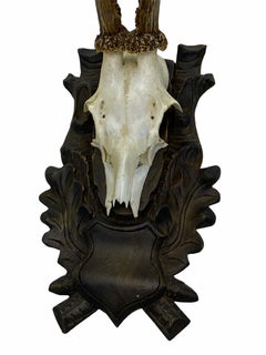 Antique Black Forest Deer Antler Trophy on Wood Carved Plaque, Germany, 1890s