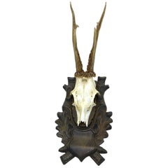 Antique Black Forest Deer Antler Trophy on Wood Carved Plaque, Germany, 1890s