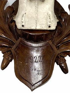 Antique Black Forest Deer Antler Trophy on Wood Carved Plaque, Germany, 1922