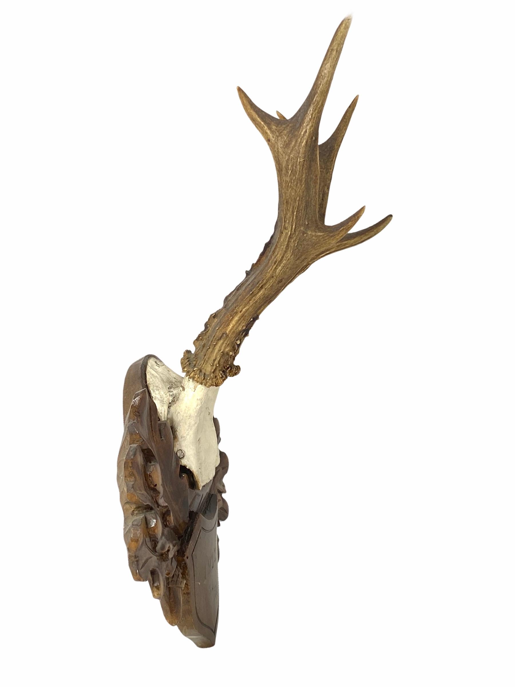 Antique Black Forest Deer Antler Trophy on Wood Carved Plaque, Germany, 1922 1