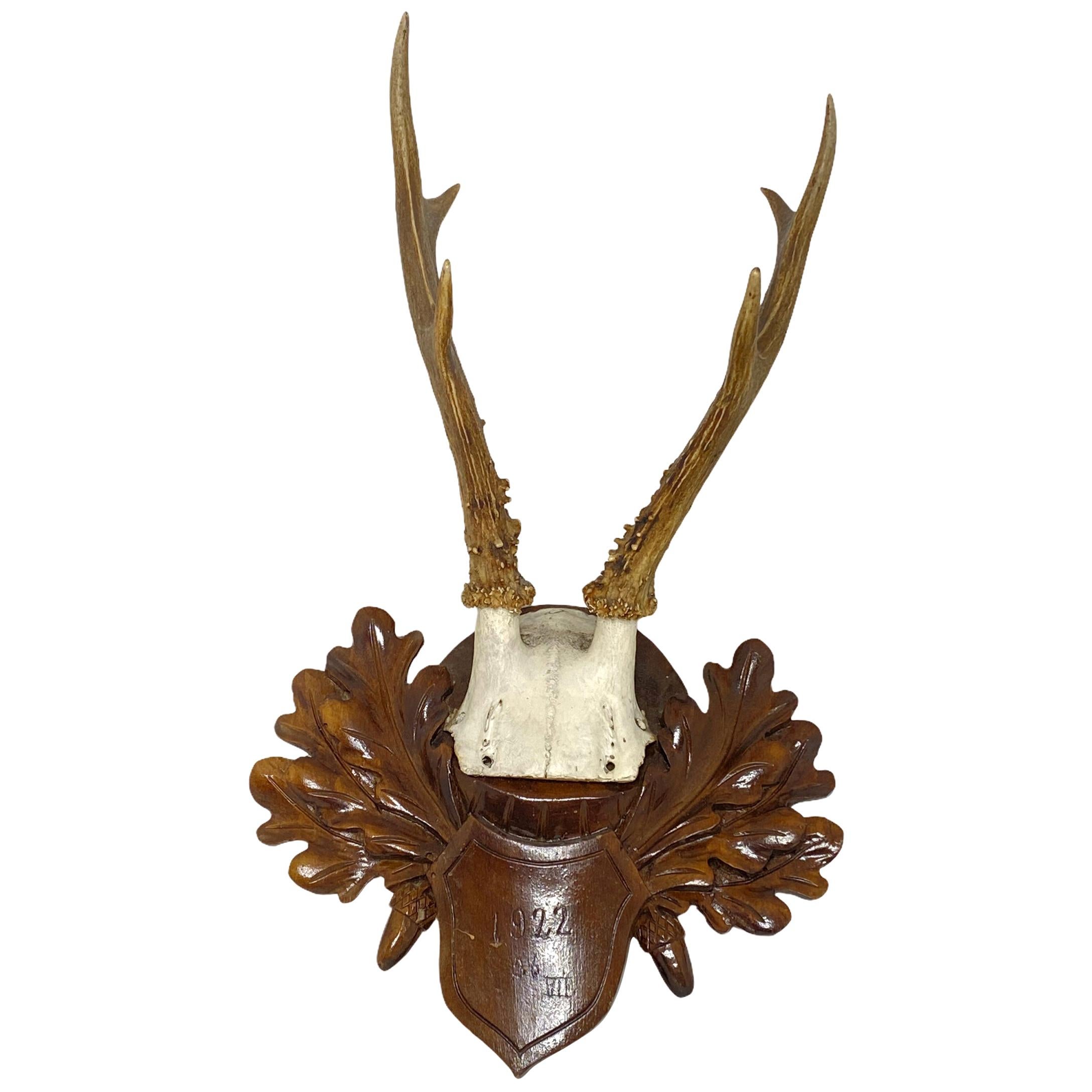 Antique Black Forest Deer Antler Trophy on Wood Carved Plaque, Germany, 1922