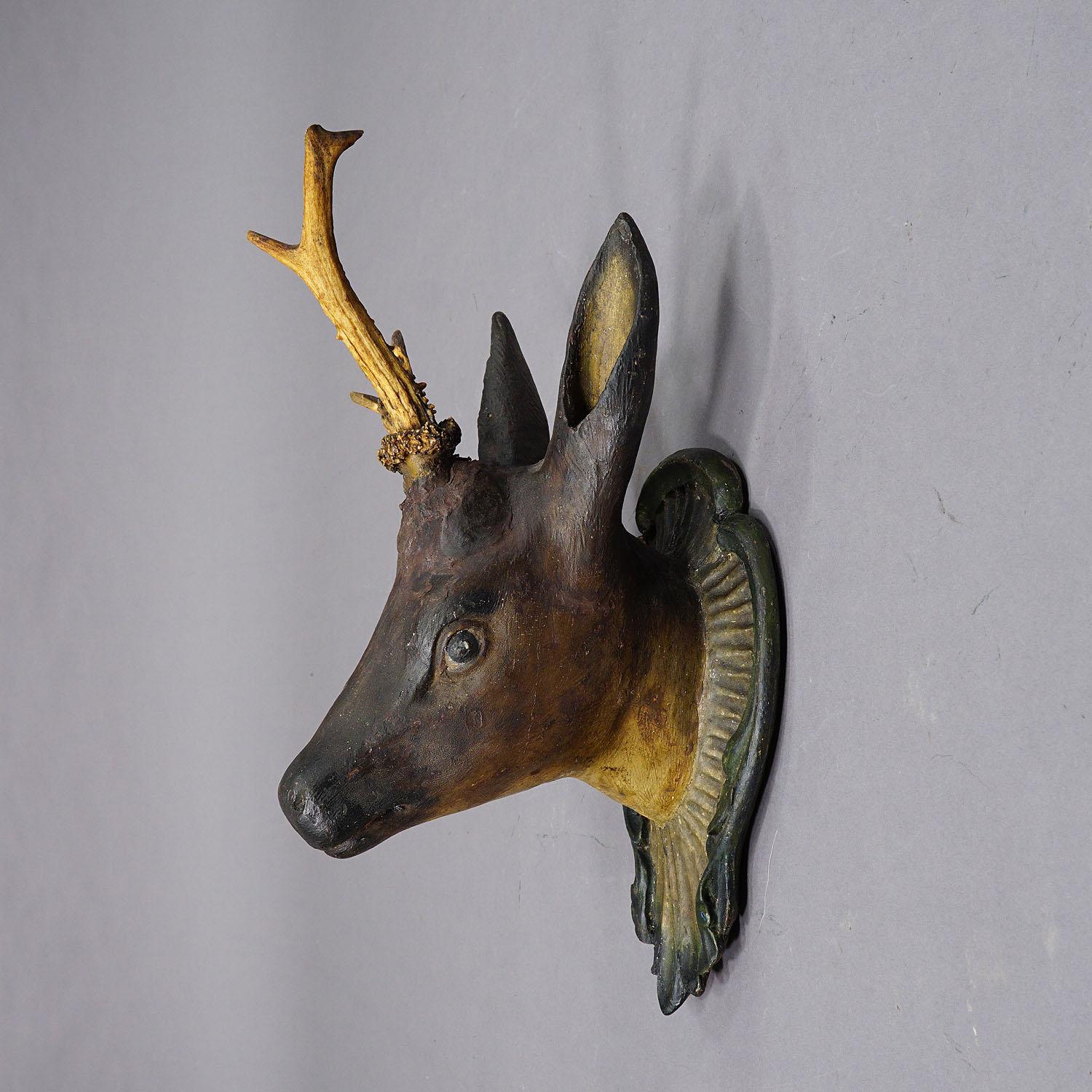Antique Black Forest Deer Head with Abnorm Trophy In Good Condition In Berghuelen, DE