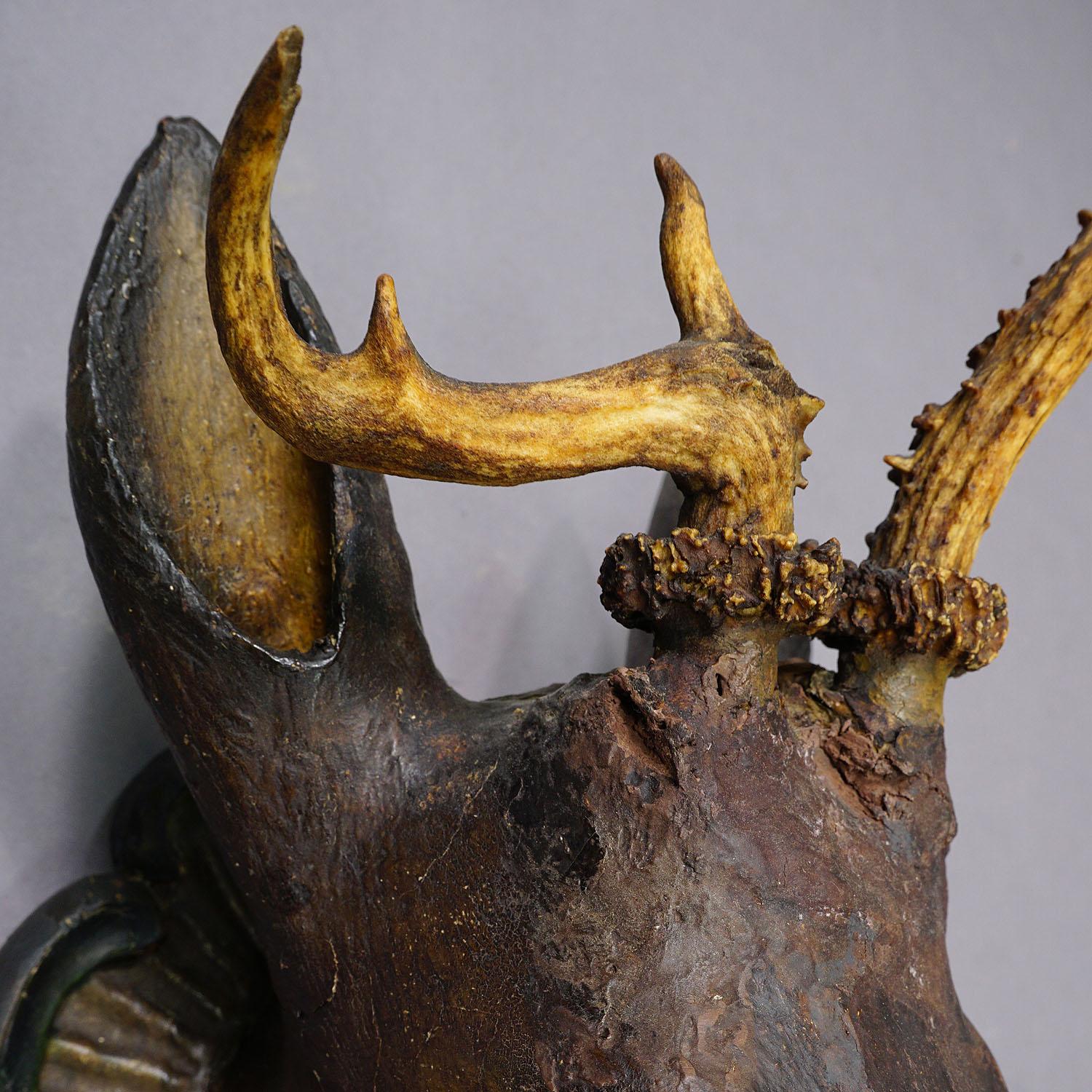 Antique Black Forest Deer Head with Abnorm Trophy 1