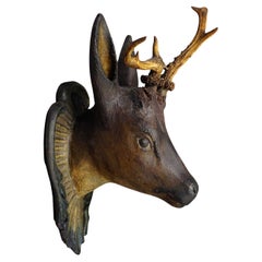 Antique Black Forest Deer Head with Abnorm Trophy