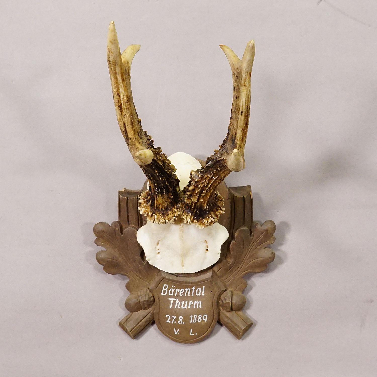 German Antique Black Forest Deer Trophy on Carved Plaque 1889 For Sale
