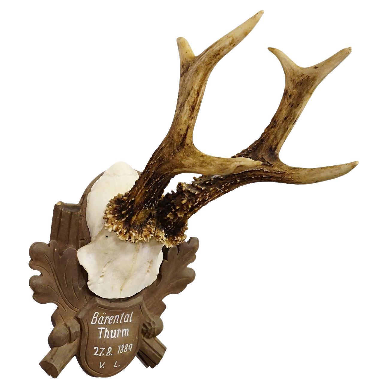 Antique Black Forest Deer Trophy on Carved Plaque 1889 For Sale
