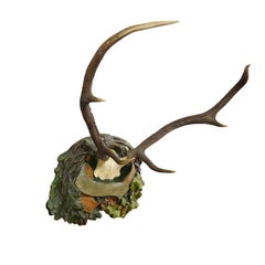 Antique Black Forest Deer Trophy on Plaster Plaque, ca. 1920s