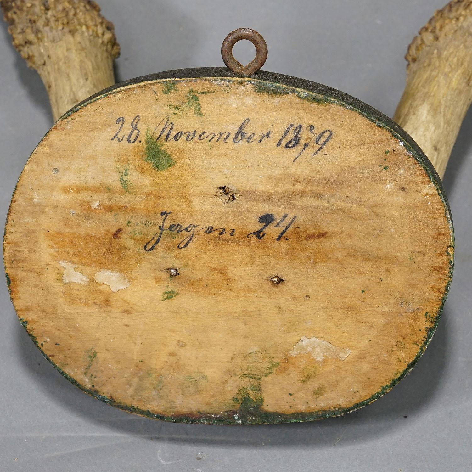 Antike Black Forest Hirsch Trophäe auf Holztafel 1879 im Zustand „Gut“ im Angebot in Berghuelen, DE