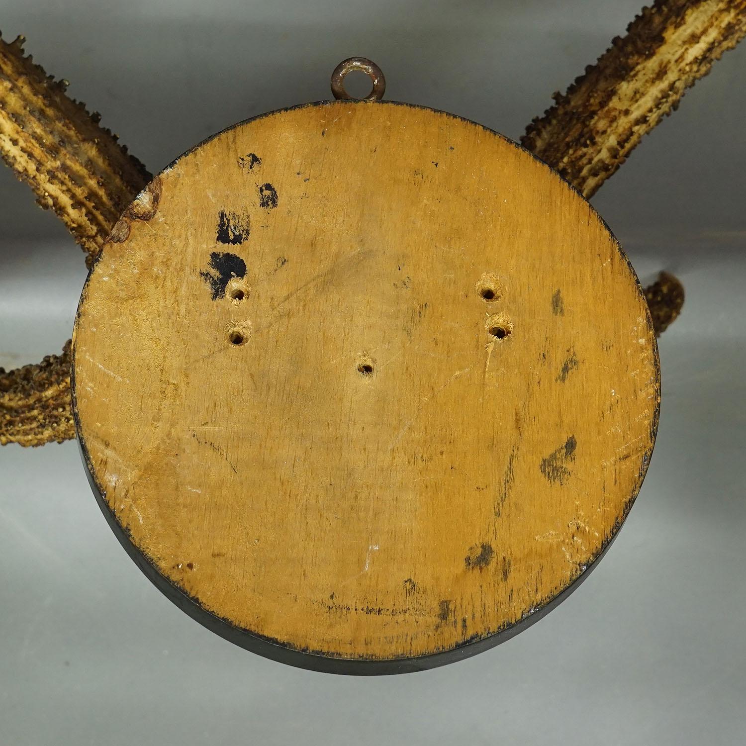 Bois Trophée antique de cerf Black Forest sur plaque de bois ca. 1900s en vente
