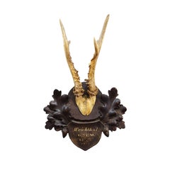 Antique Black Forest Red Deer Trophy on Carved Plaque, Austria 1919