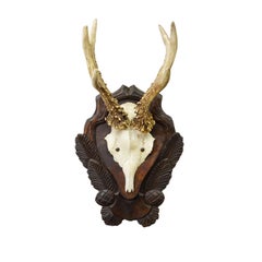 Antique Black Forest Red Deer Trophy on Carved Plaque ca. 1930s