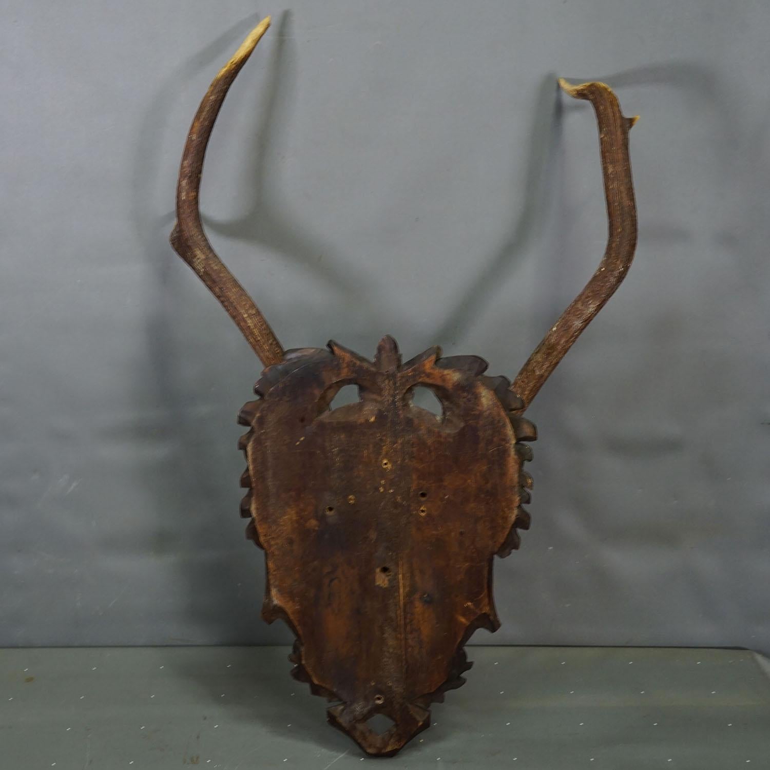 Antike Black Forest Rotwild Trophäe auf geschnitzter Plakette - Deutschland 1900 im Angebot 2