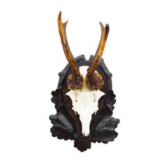 Antique Black Forest Red Deer Trophy on Carved Plaque, Germany 1930s