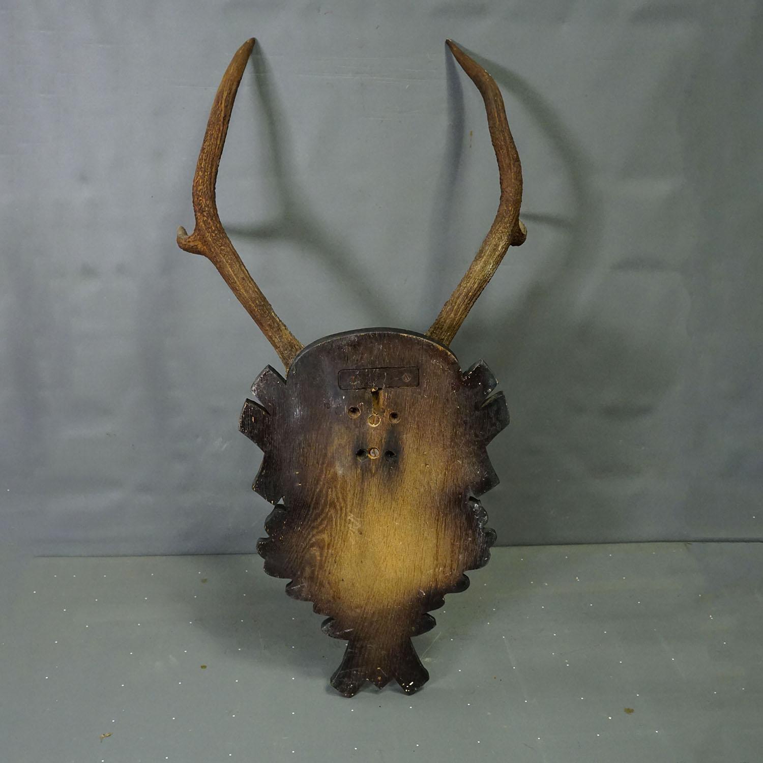 Antique Black Forest Red Deer Trophy on Carved Plaque - Germany 1930s (Geweih) im Angebot