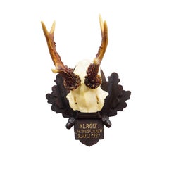 Trofeo antiguo de ciervo rojo de la Black Forest en placa tallada - Alemania 1932