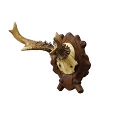 Trofeo antiguo de ciervo rojo de la Black Forest en placa tallada, Alemania 1938