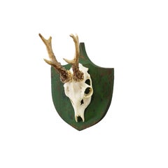 Antique Black Forest Red Deer Trophy on Green Plaque - Salem Germany 1900