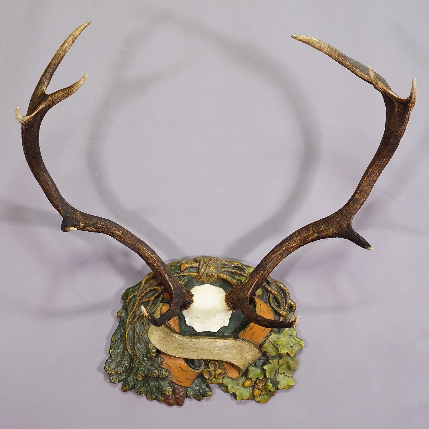 Antique Black Forest Red Deer Trophy on Reliefed Plaque - Germany ca. 1900 In Good Condition In Berghuelen, DE