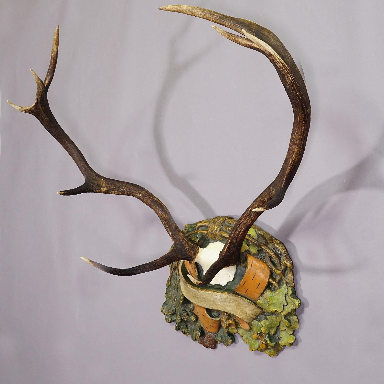 20th Century Antique Black Forest Red Deer Trophy on Reliefed Plaque - Germany ca. 1900
