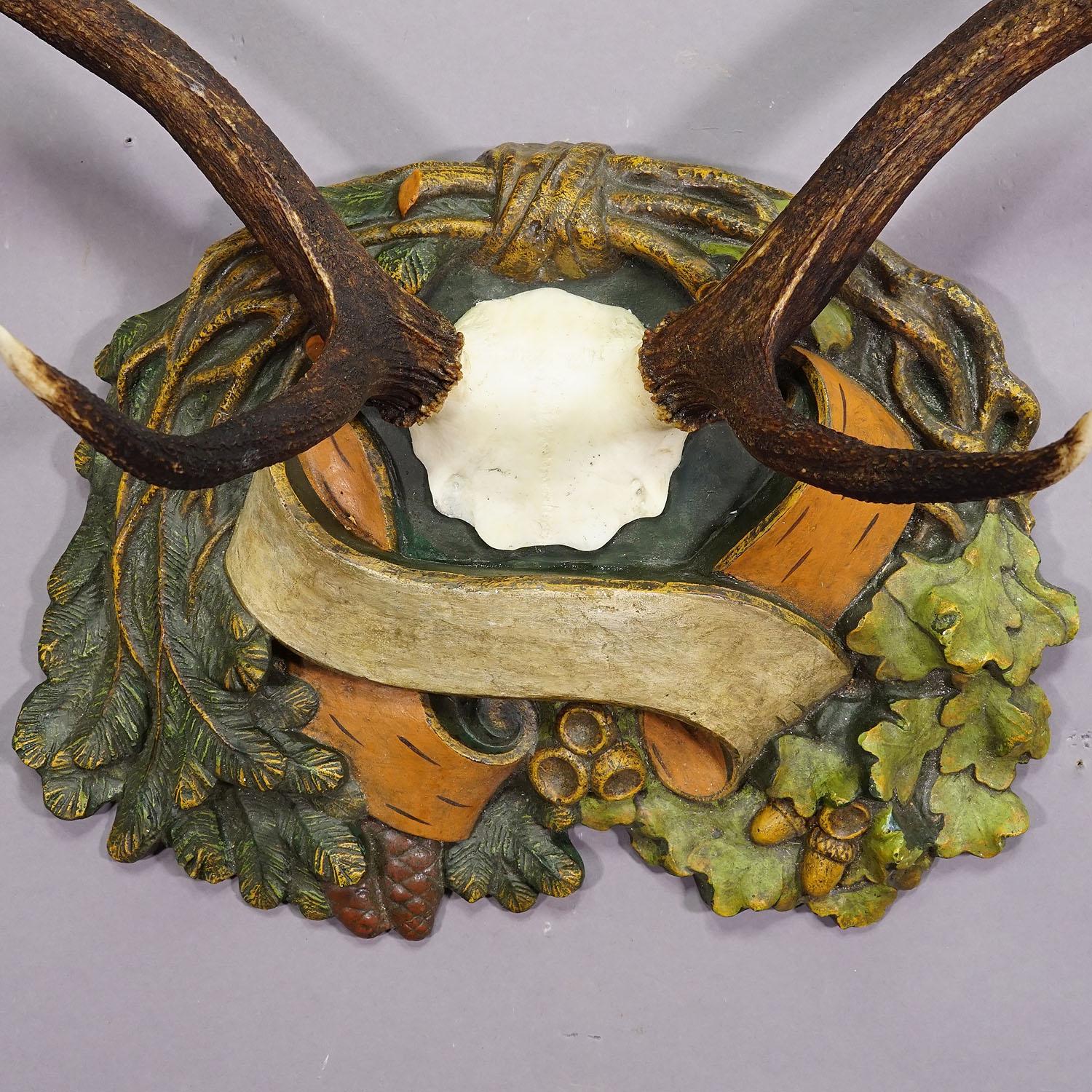 Antler Antique Black Forest Red Deer Trophy on Reliefed Plaque - Germany ca. 1900