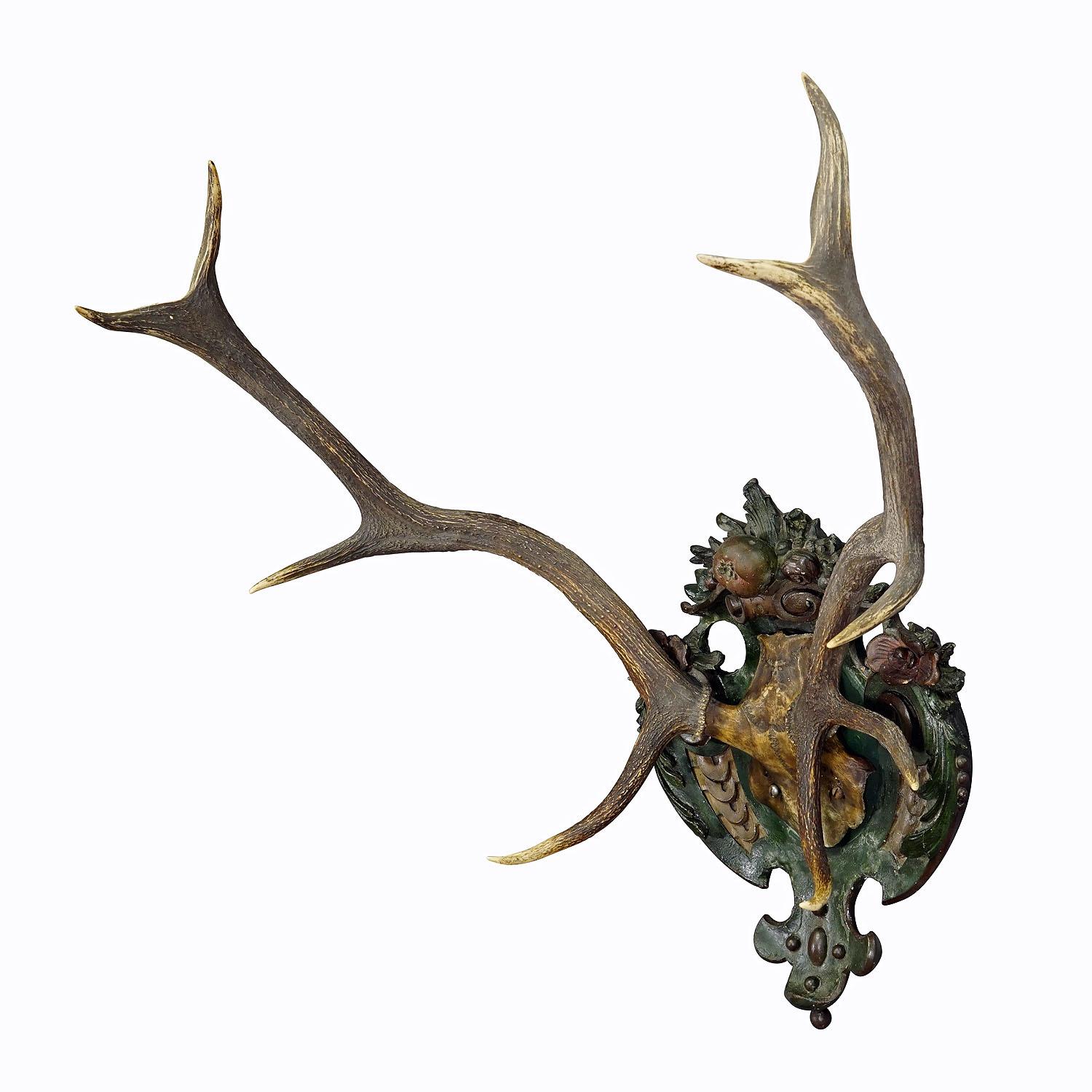 Antique Black Forest Red Deer Trophy on Reliefed Plaster Plaque
Item e7352
A large, uneven 10-pointer red deer trophy (Cervus elaphus) that was shot in the Black Forest around 1900. The large antlers are mounted on a wall panel with relief plaster