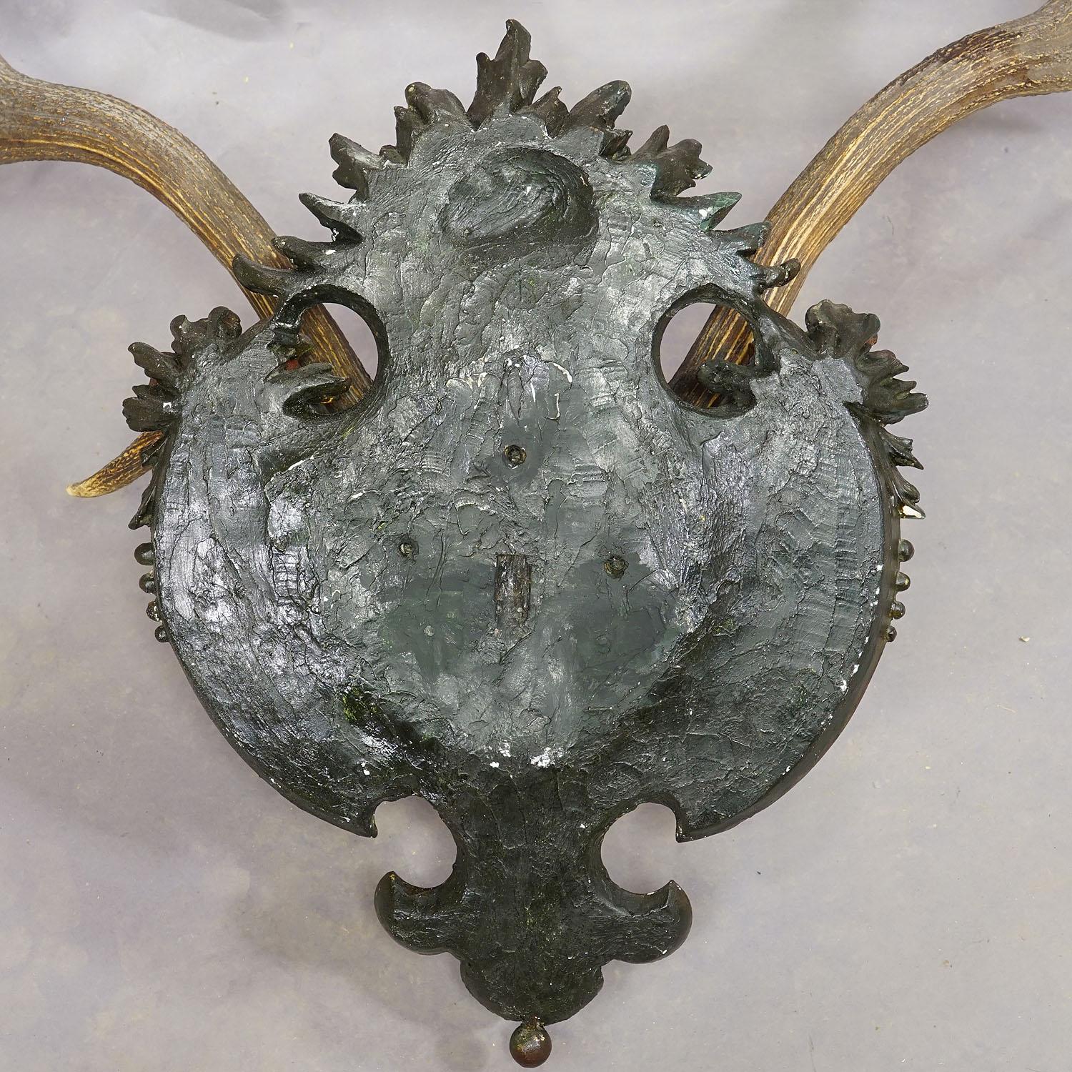 Antler Antique Black Forest Red Deer Trophy on Reliefed Plaster Plaque