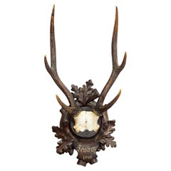 Trofeo antiguo de corzo de la Black Forest en placa tallada, Austria 1860