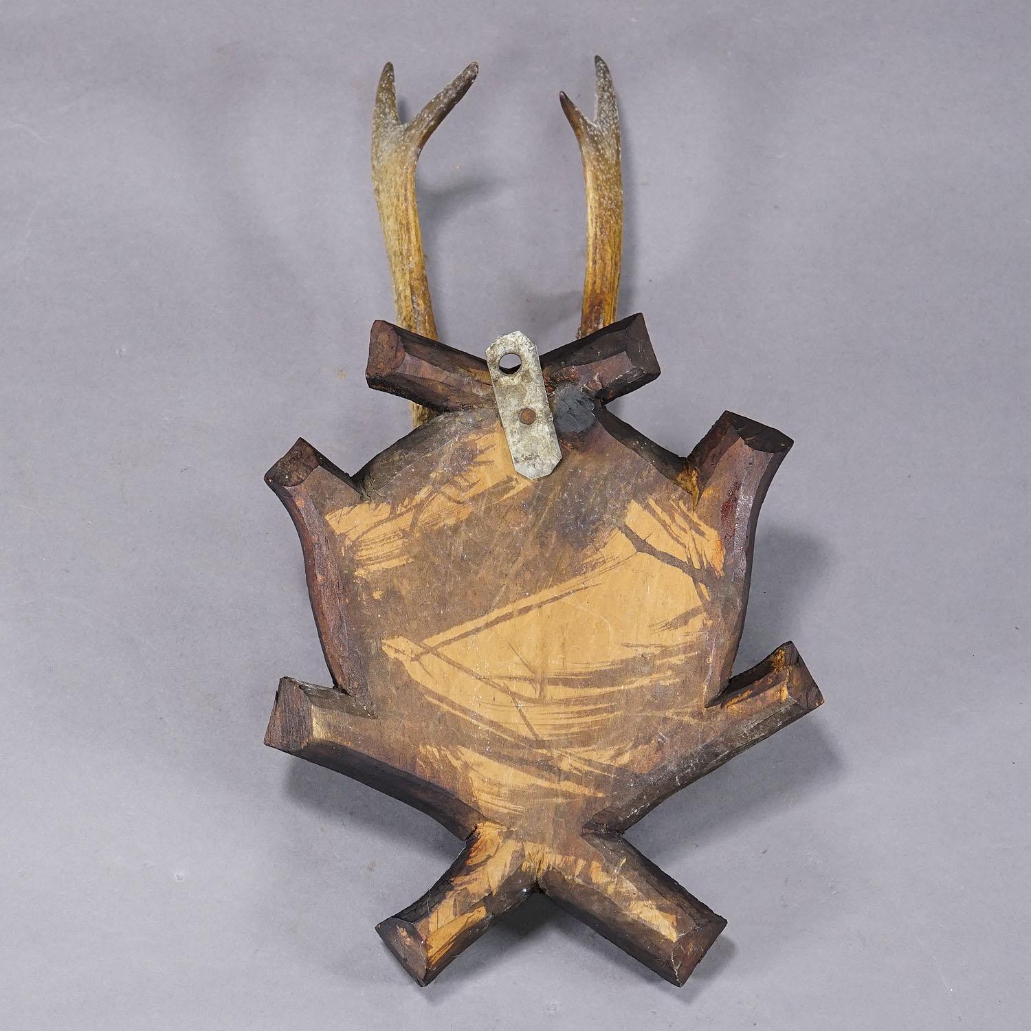 20th Century Antique Black Forest Roe Deer Trophy on Carved Plaque, Bavaria 1900s For Sale