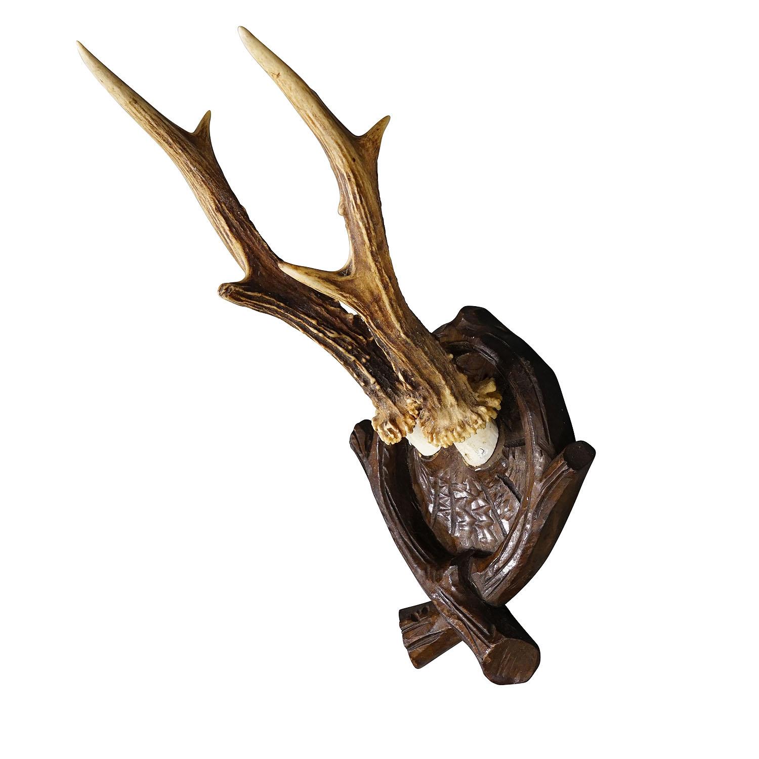 Antique Black Forest Roe Deer Trophy on Carved Plaque

A great antique roe deer (Capreolus capreolus) trophy on a wooden carved plaque. The trophy was shot around 1930. A great fit to your rustic cabin decoration.

Trophies are mementos from the
