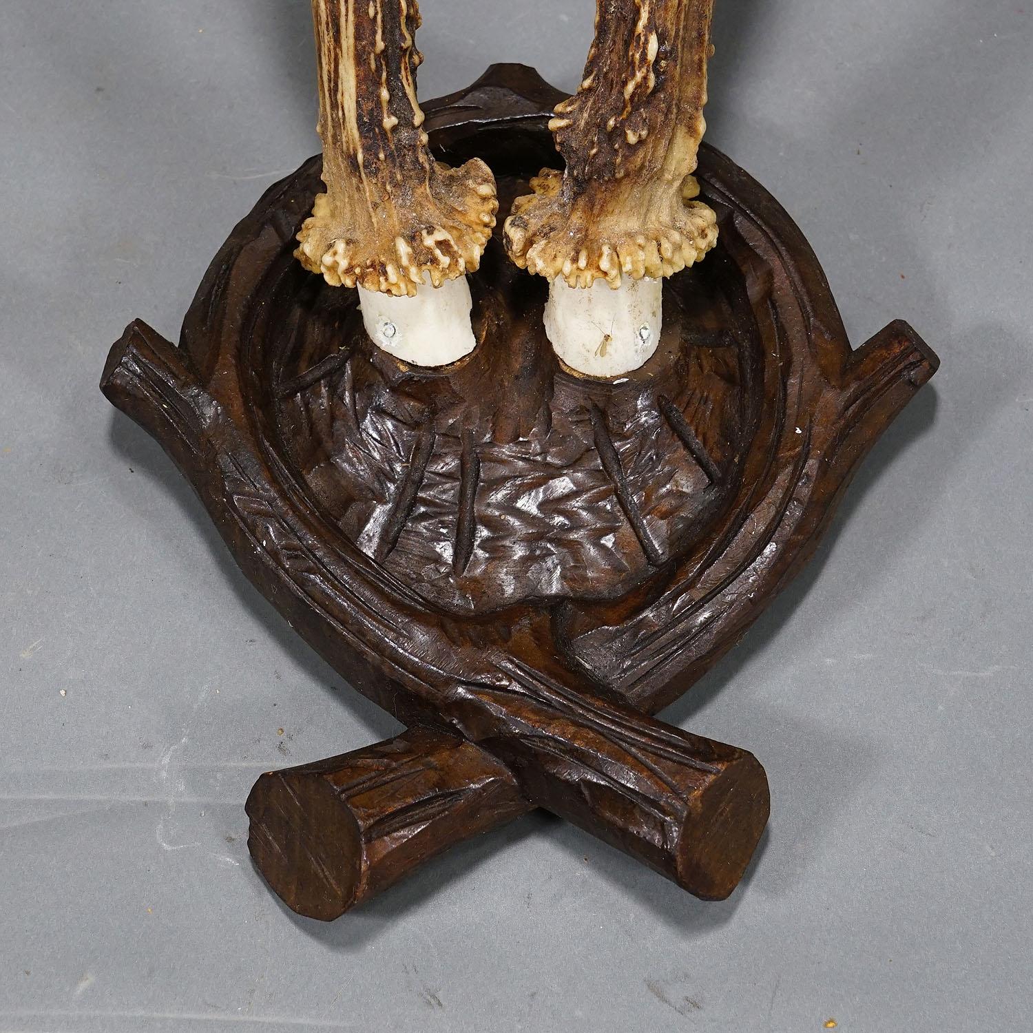 Antique Black Forest Roe Deer Trophy on Carved Plaque In Good Condition In Berghuelen, DE