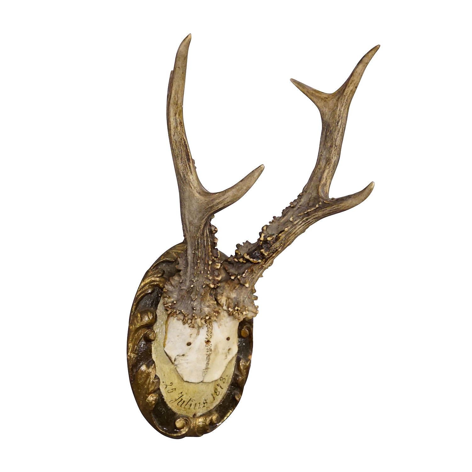 Antique Black Forest Roe Deer Trophy on Wooden Plaque 1873

A great 6 pointer roe deer (Capreolus capreolus) trophy from the Black Forest shot in Germany in 1873. The antlers are mounted on a carved wall plaque with painted finish and handwritten