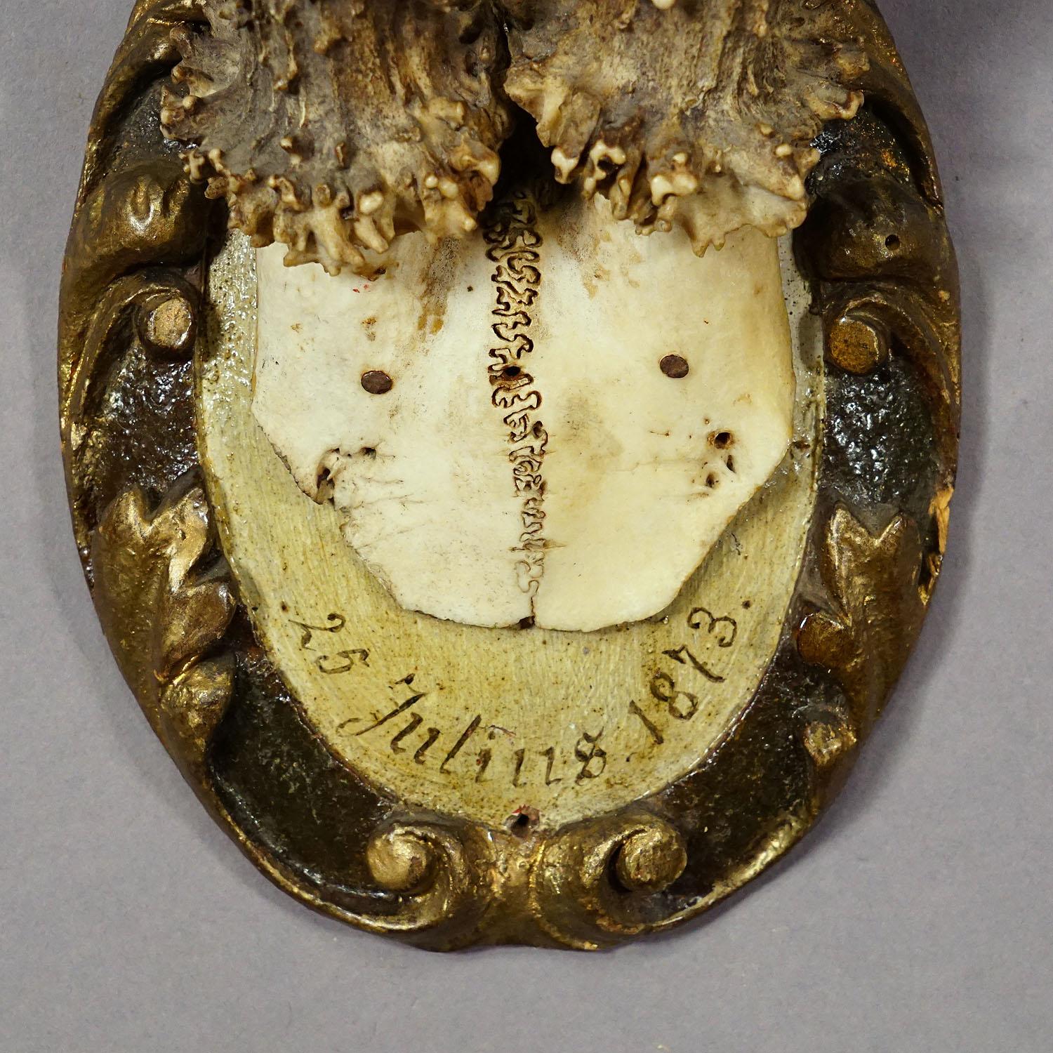 Allemand Trophée ancien de chevreuil de Black Forest sur plaque en bois 1873 en vente