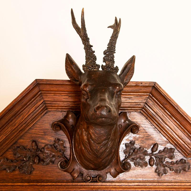 Wood Antique Black Forest Style Gun Cabinet or Bookcase with Carved Deer Head
