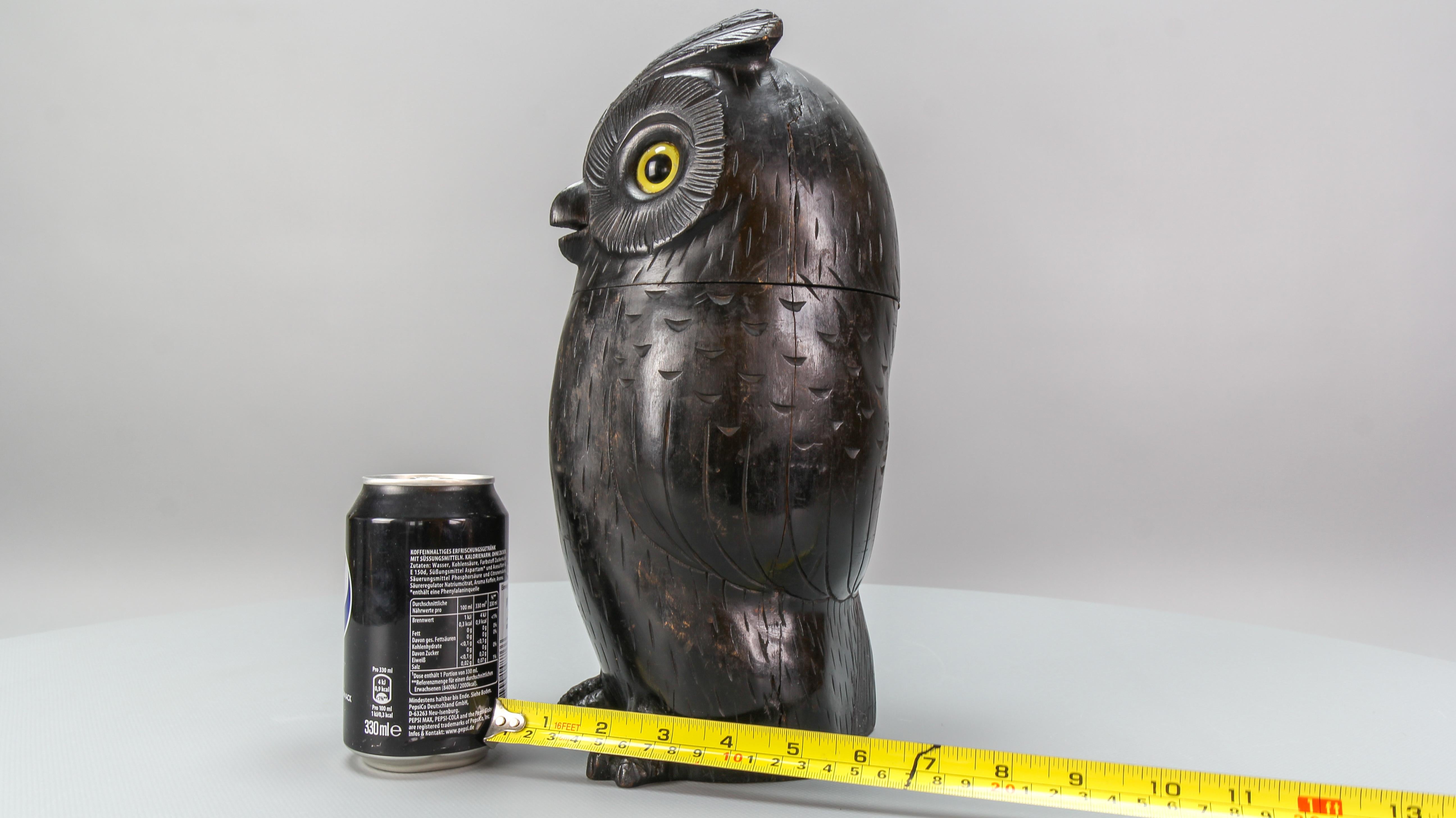 Antique Black Forest Style Wooden Carved Trinket Box or Bucket Owl, circa 1920 For Sale 9