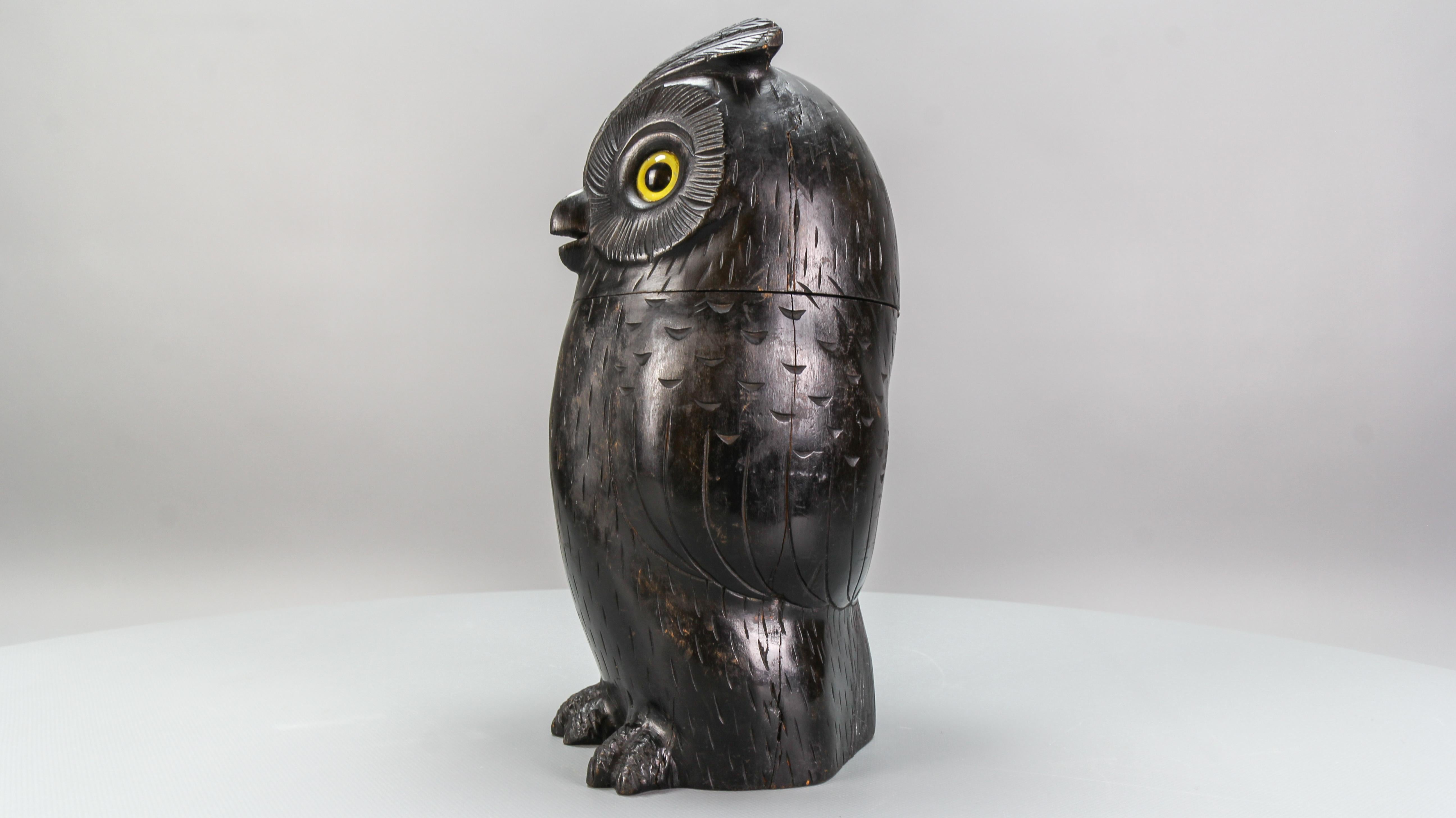 Antique Black Forest Style Wooden Carved Trinket Box or Bucket Owl, circa 1920 For Sale 10