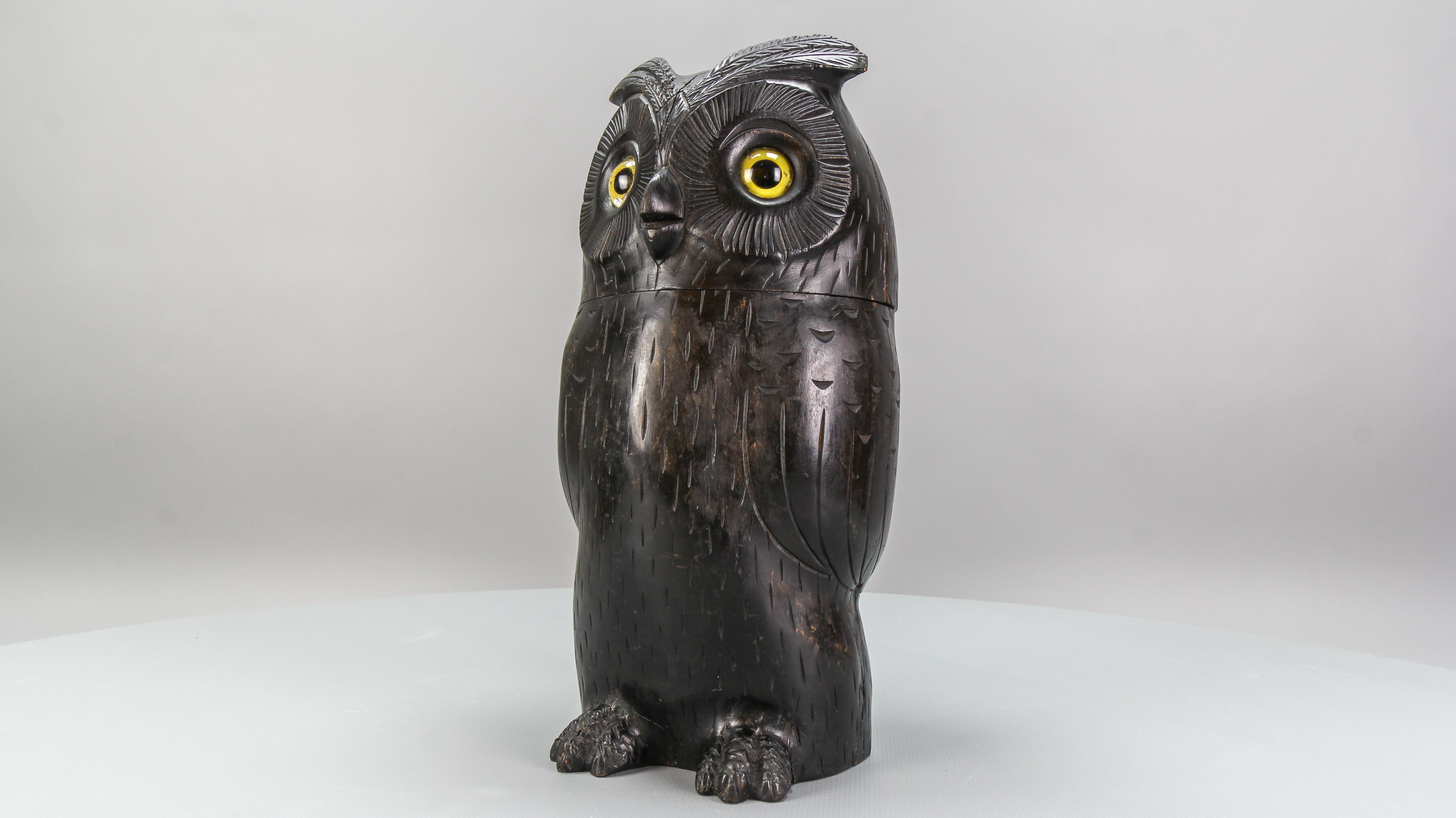 Antique Black Forest Style Wooden Carved Trinket Box or Bucket Owl, circa 1920 For Sale 11