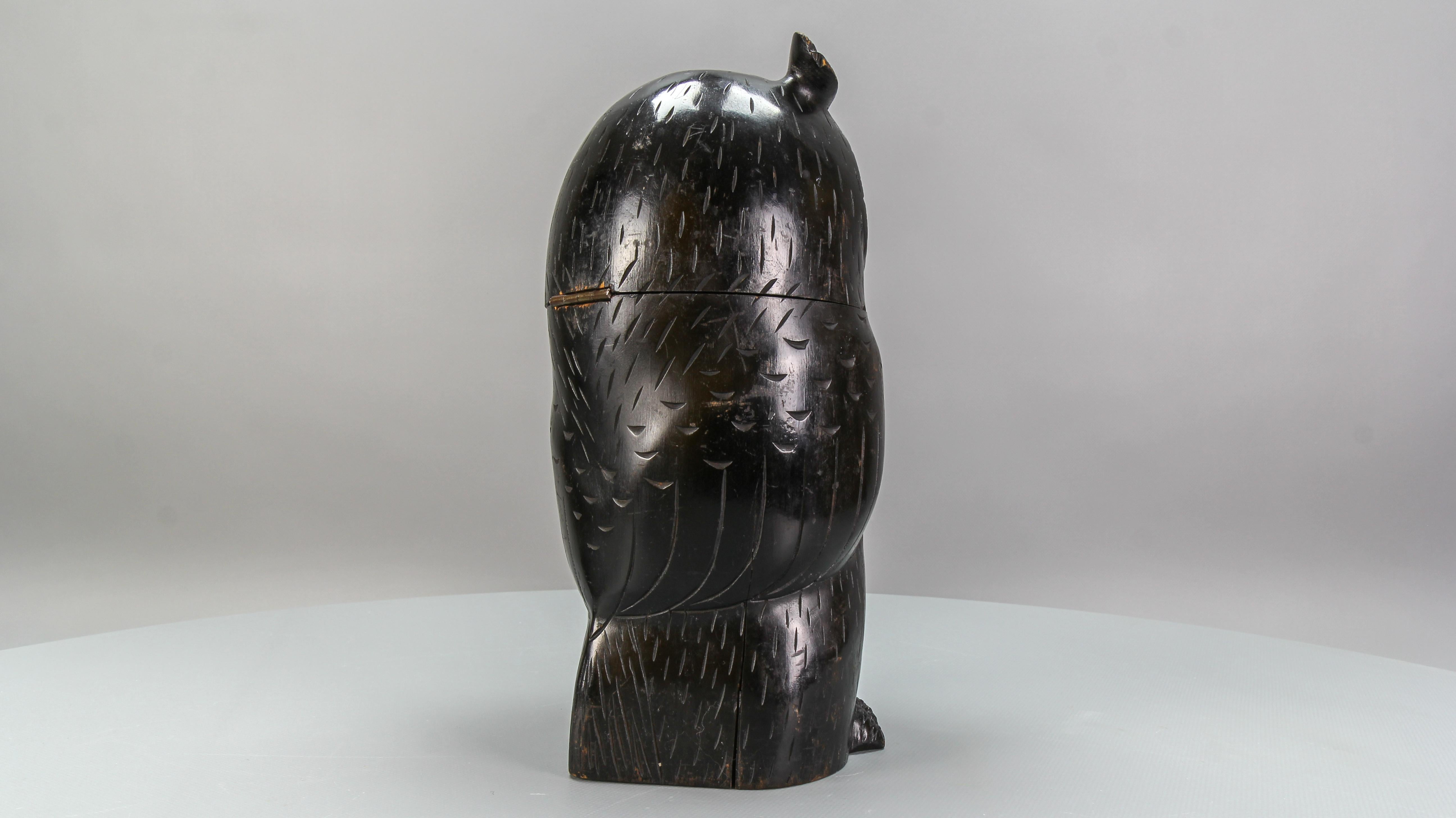 German Antique Black Forest Style Wooden Carved Trinket Box or Bucket Owl, circa 1920 For Sale