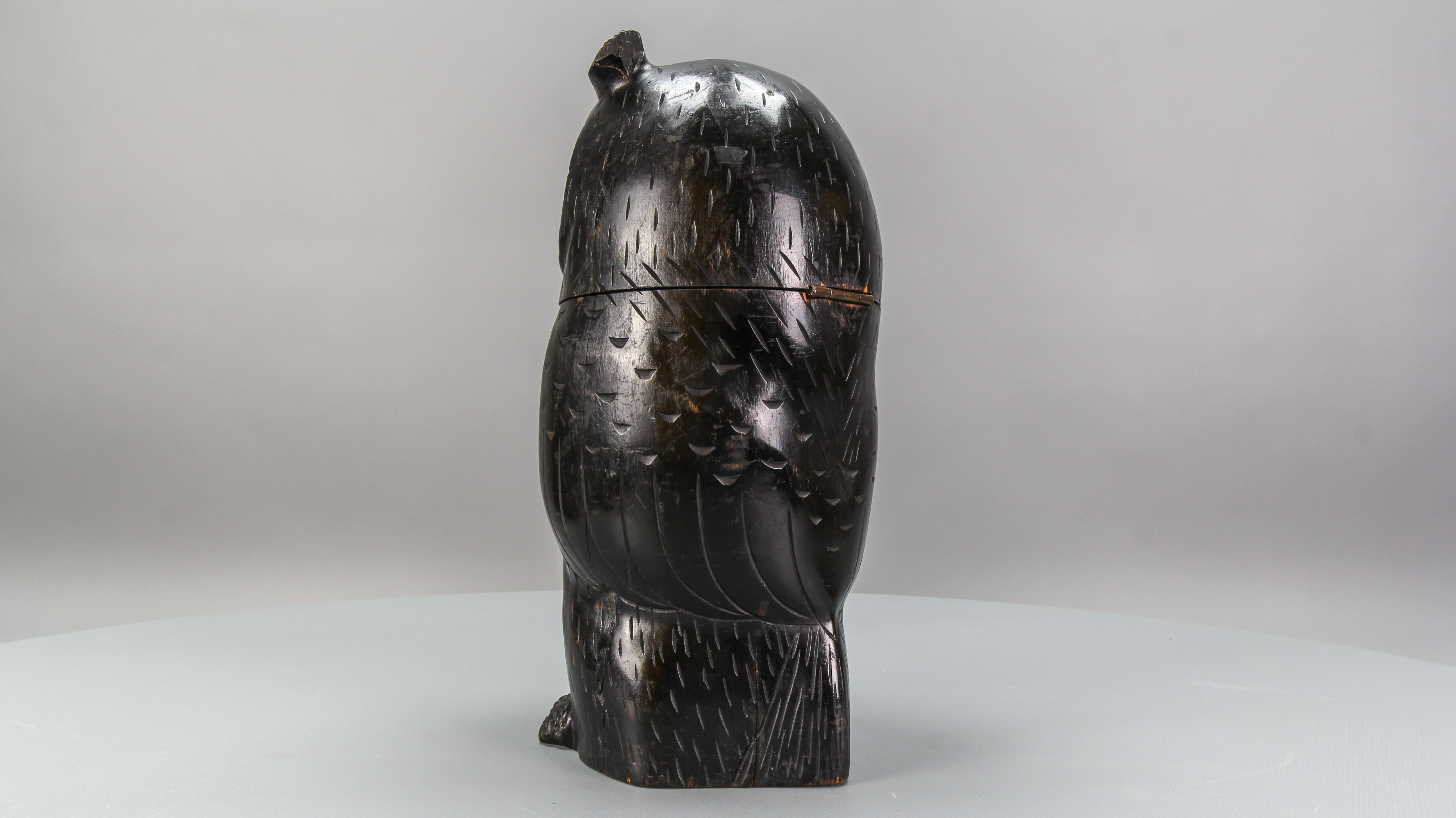 Early 20th Century Antique Black Forest Style Wooden Carved Trinket Box or Bucket Owl, circa 1920 For Sale