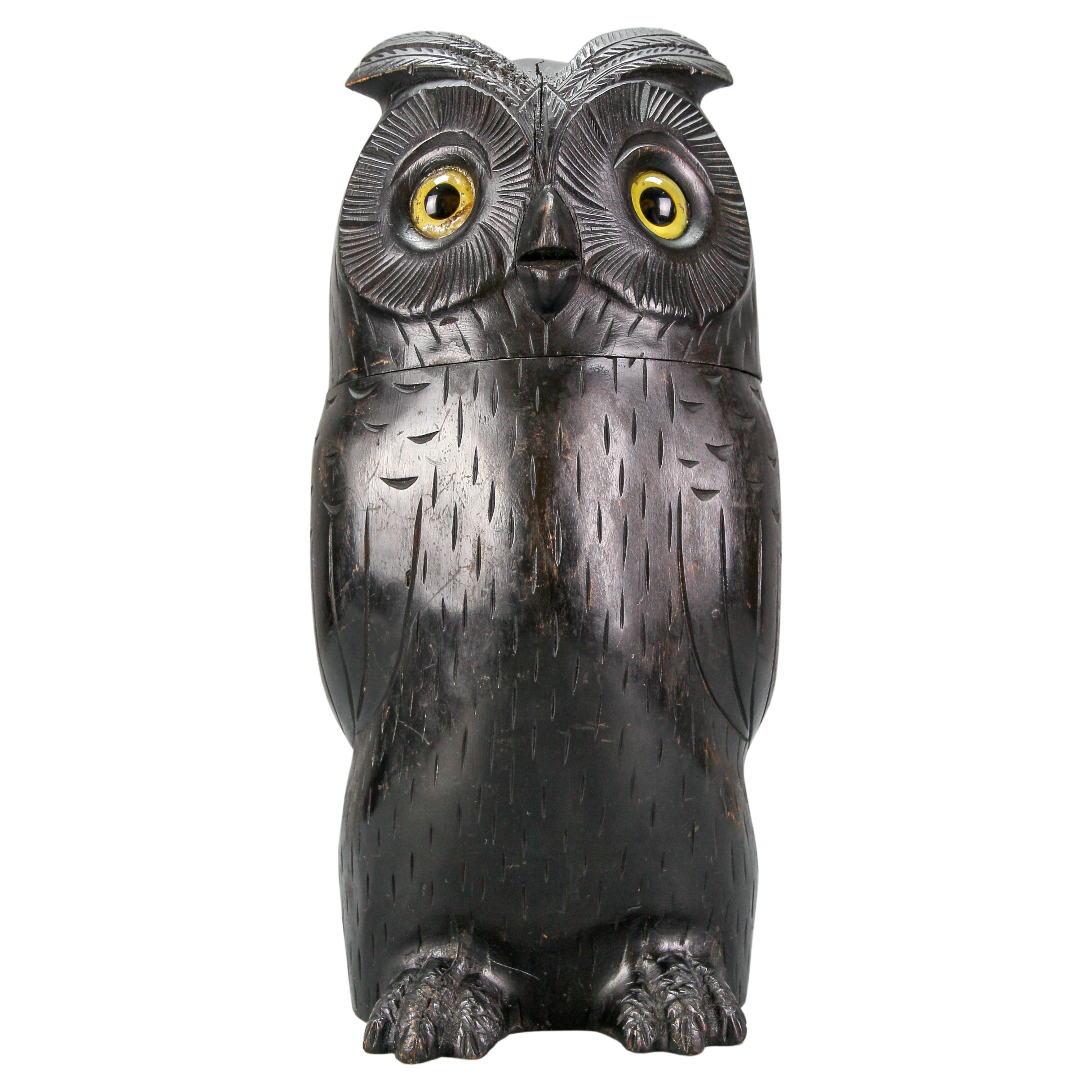 Antique Black Forest Style Wooden Carved Trinket Box or Bucket Owl, circa 1920