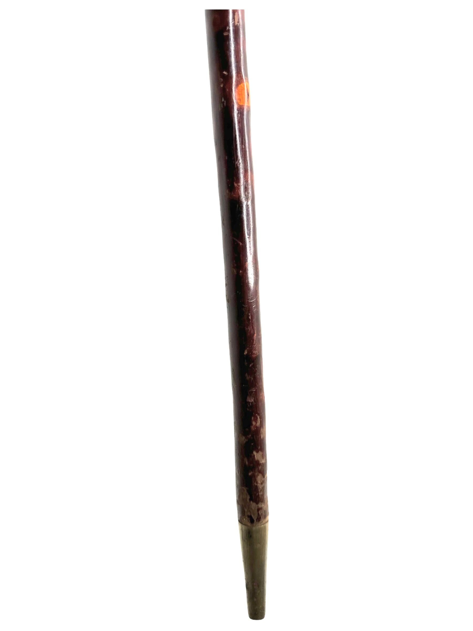 Antique Black Forest Wood Carved Scotty Dog Walking Stick Cane, 1900s, Germany For Sale 5